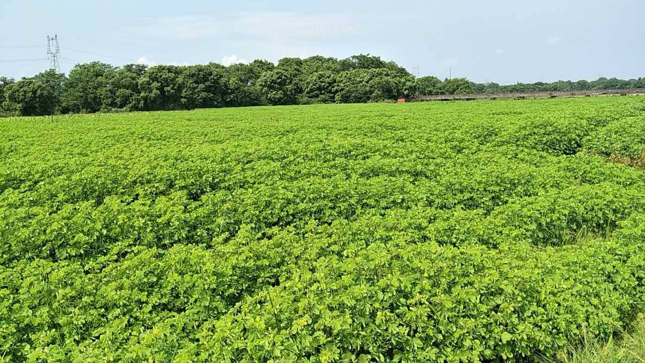 土壤水分測(cè)定儀